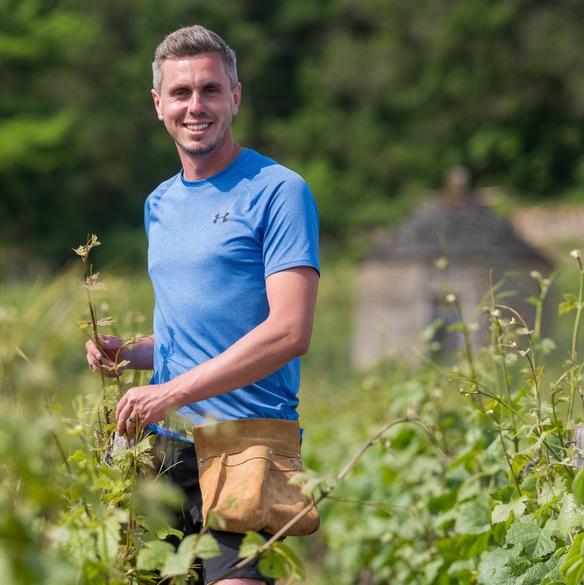 Quelle Est La Différence Entre Un Vigneron Et Un Viticulteur